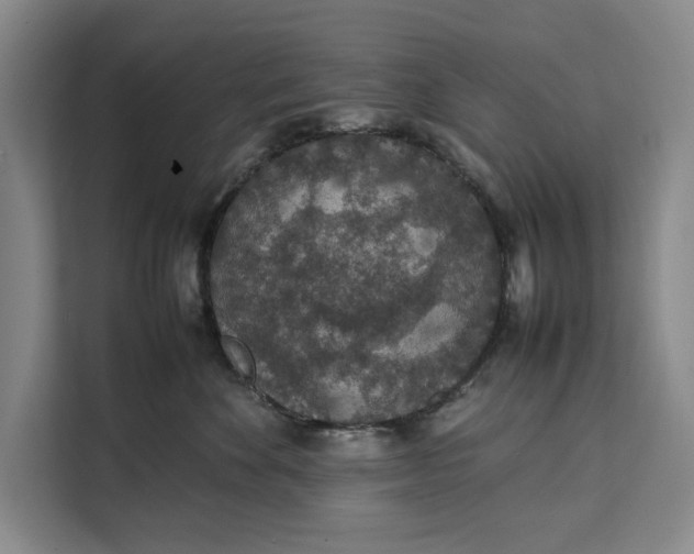 X0000111140524200907141324