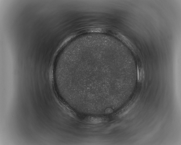 X0000111140531200907141323