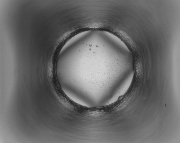 X0000111140540200907141323