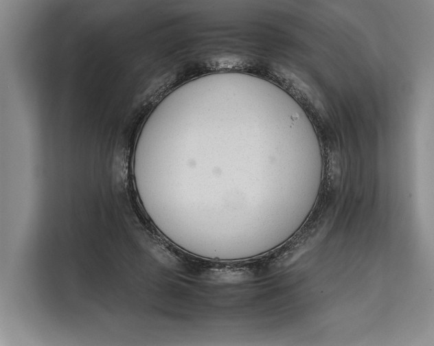 X0000111140545200907141323