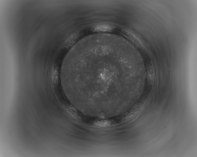 X0000111140551200907141323