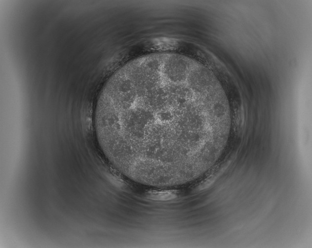 X0000111140553200907141323