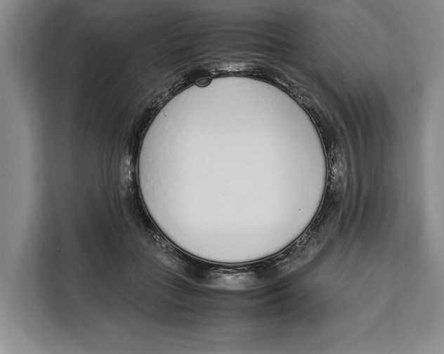 X0000111140555200907141323