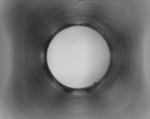 X0000111140556200907141323