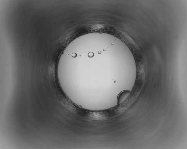 X0000111140565200907141324