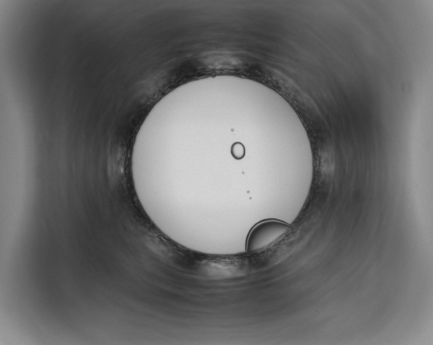 X0000111140567200907141324