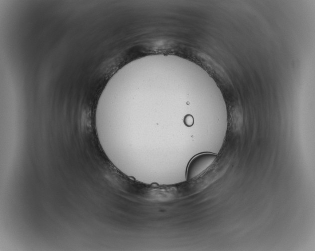 X0000111140571200907141324