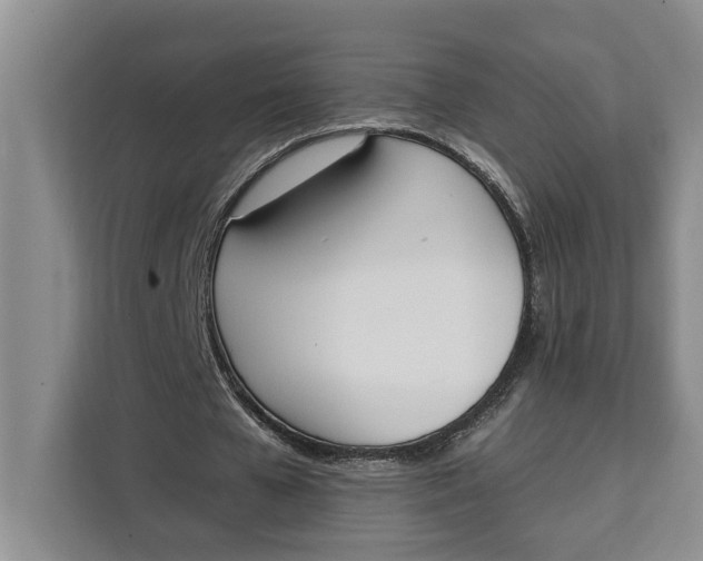 X0000111140577200907141323