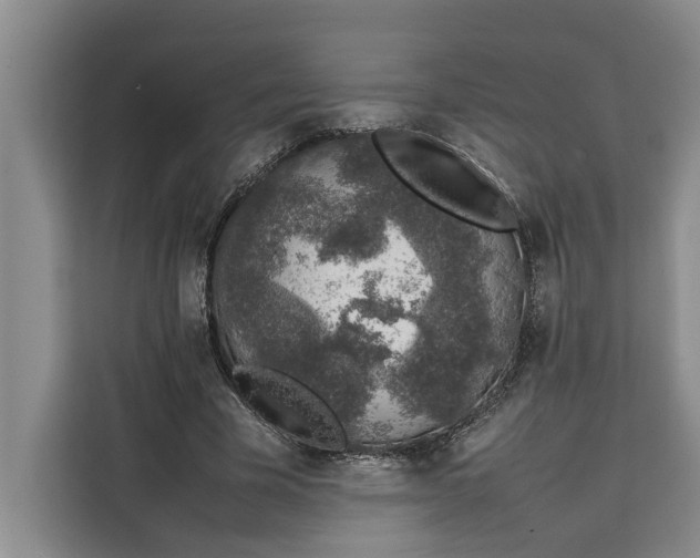 X0000111140585200907141323