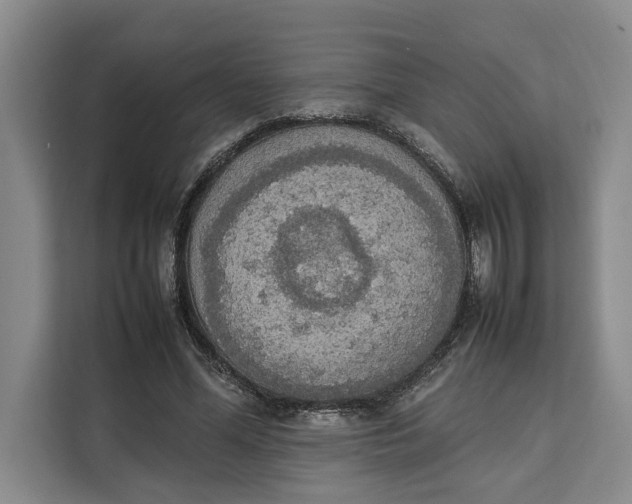 X0000111140588200907141323