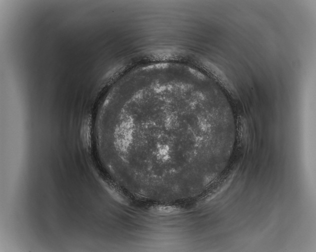 X0000111140590200907141323