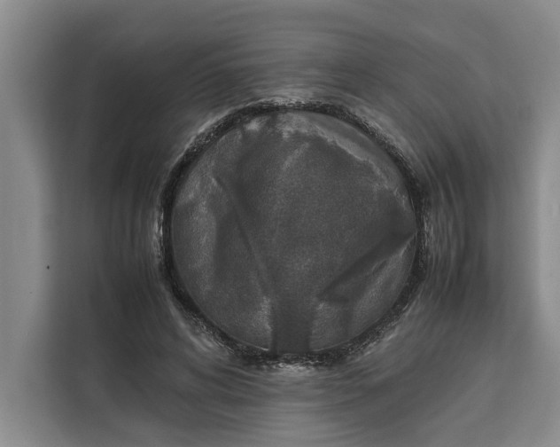 X0000111140592200907141323