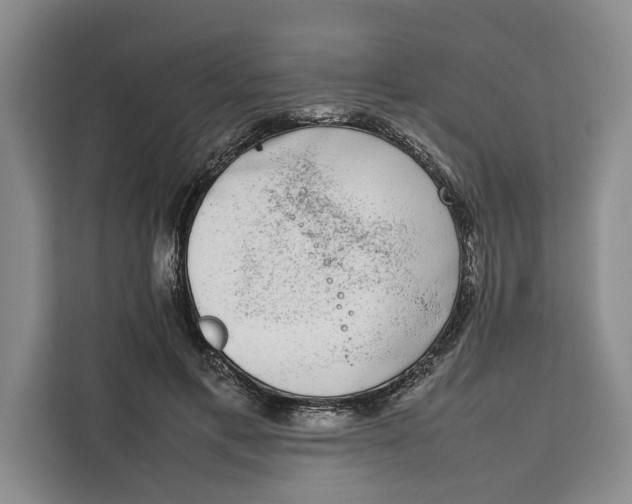 X0000111140597200907141323