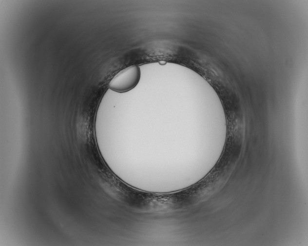 X0000111140599200907141323