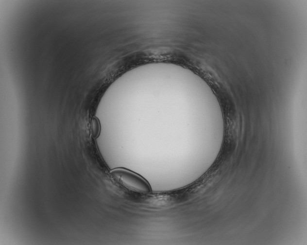 X0000111140609200907141323