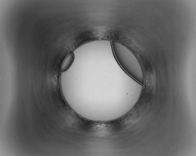 X0000111140611200907141323