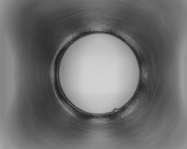 X0000111140630200907141322