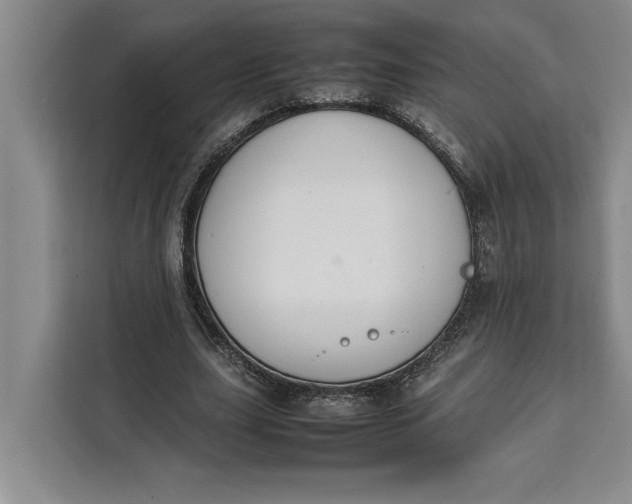 X0000111140631200907141322