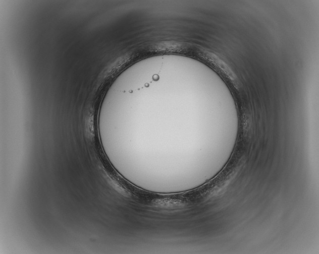 X0000111140633200907141322