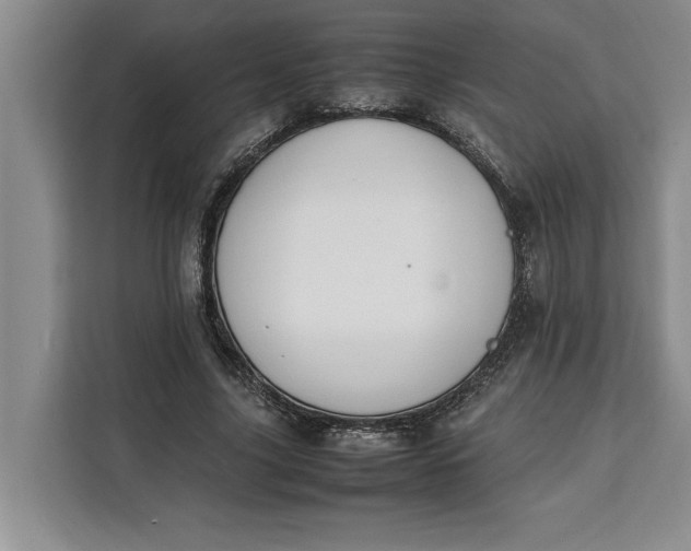 X0000111140635200907141322