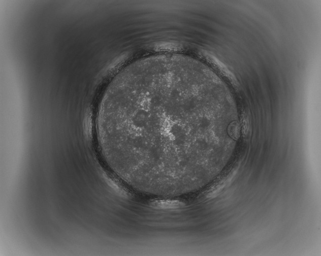 X0000111140637200907141322