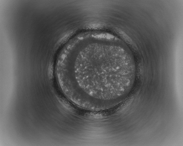 X0000111140640200907141322