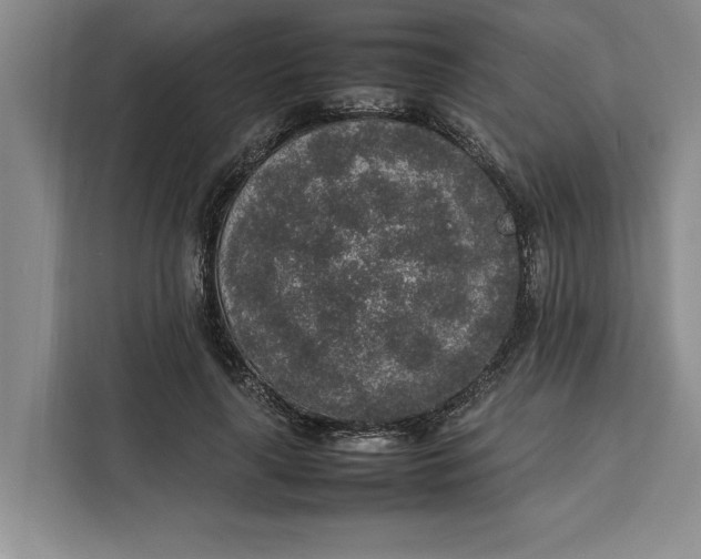 X0000111140643200907141322