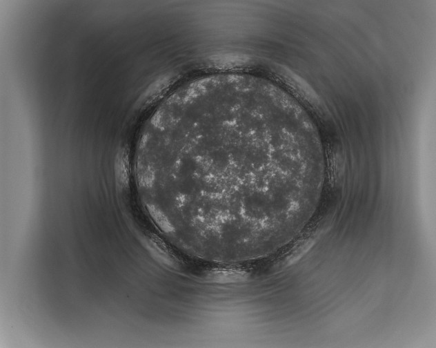 X0000111140644200907141322