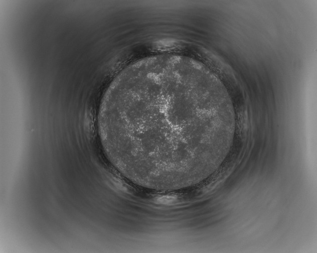 X0000111140653200907141322