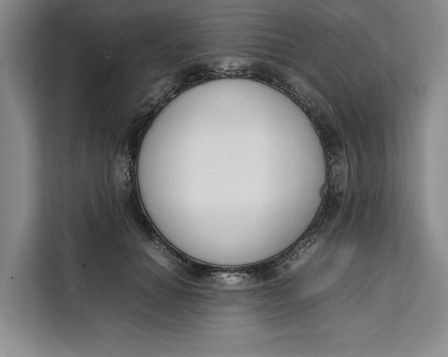 X0000111140654200907141322