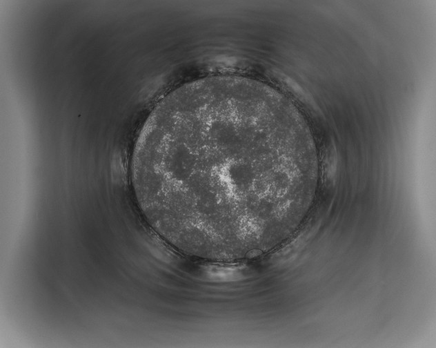 X0000111140661200907141322