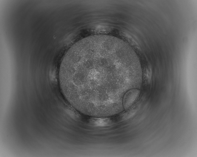 X0000111140663200907141322