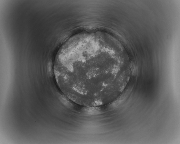 X0000111140670200907141322