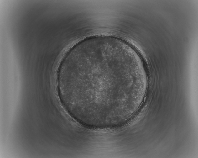 X0000111140673200907141322