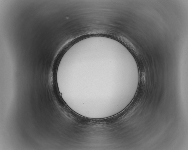 X0000111140676200907141322