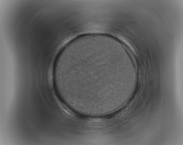 X0000111140677200907141322