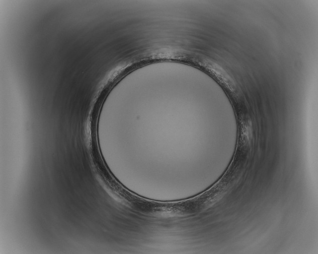 X0000111140678200907141322