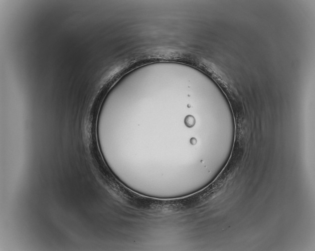 X0000111140679200907141322