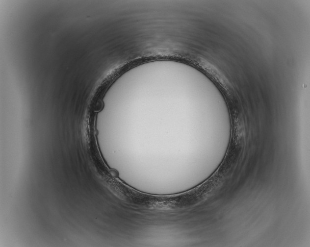 X0000111140680200907141322