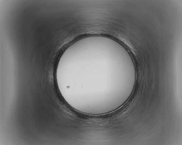 X0000111140681200907141322