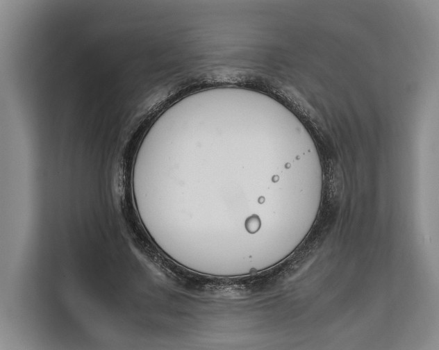 X0000111140683200907141322