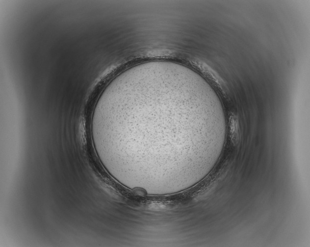 X0000111140684200907141322