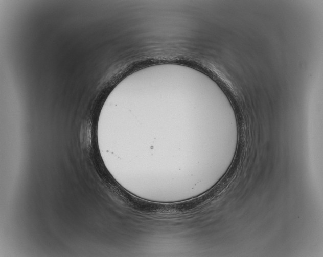 X0000111140685200907141322