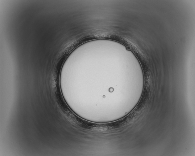 X0000111140687200907141322