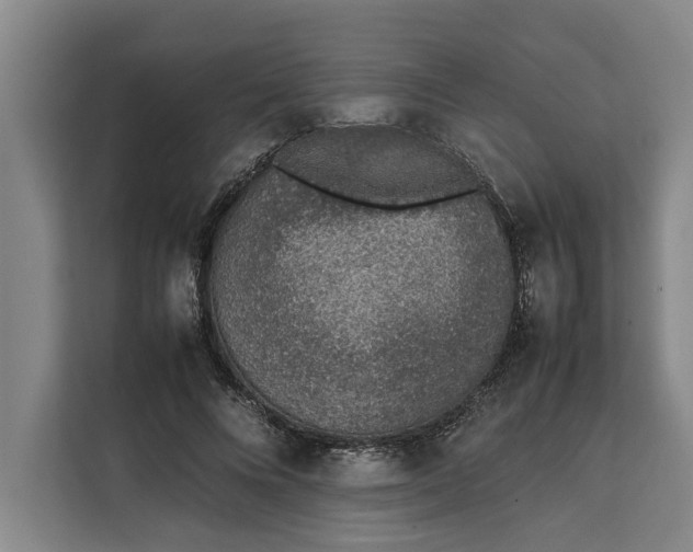 X0000111140688200907141322