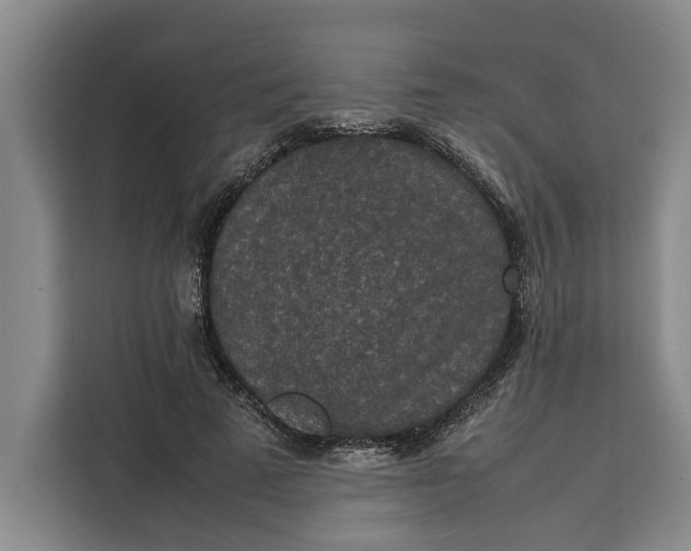 X0000111140689200907141322