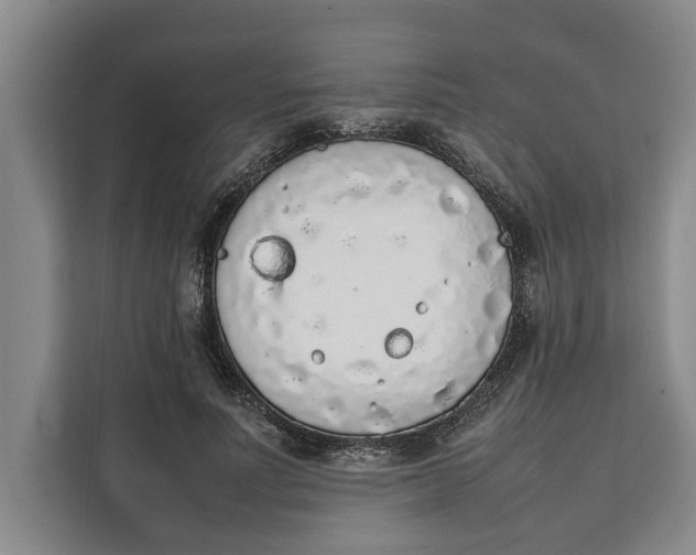 X0000111140691200907141322