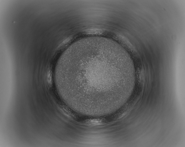 X0000111140692200907141322