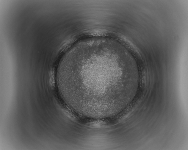 X0000111140696200907141322