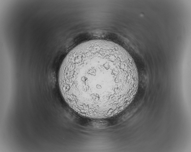 X0000111140707200907141321